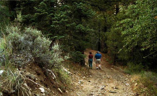 Strolling through the wilderness in Jacoby Canyon.  During Prohibition illegal stills operated here, supplying Big Bear Lake businesses with moonshine liquor. - © Rick Keppler